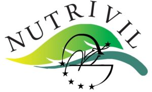 logo2
